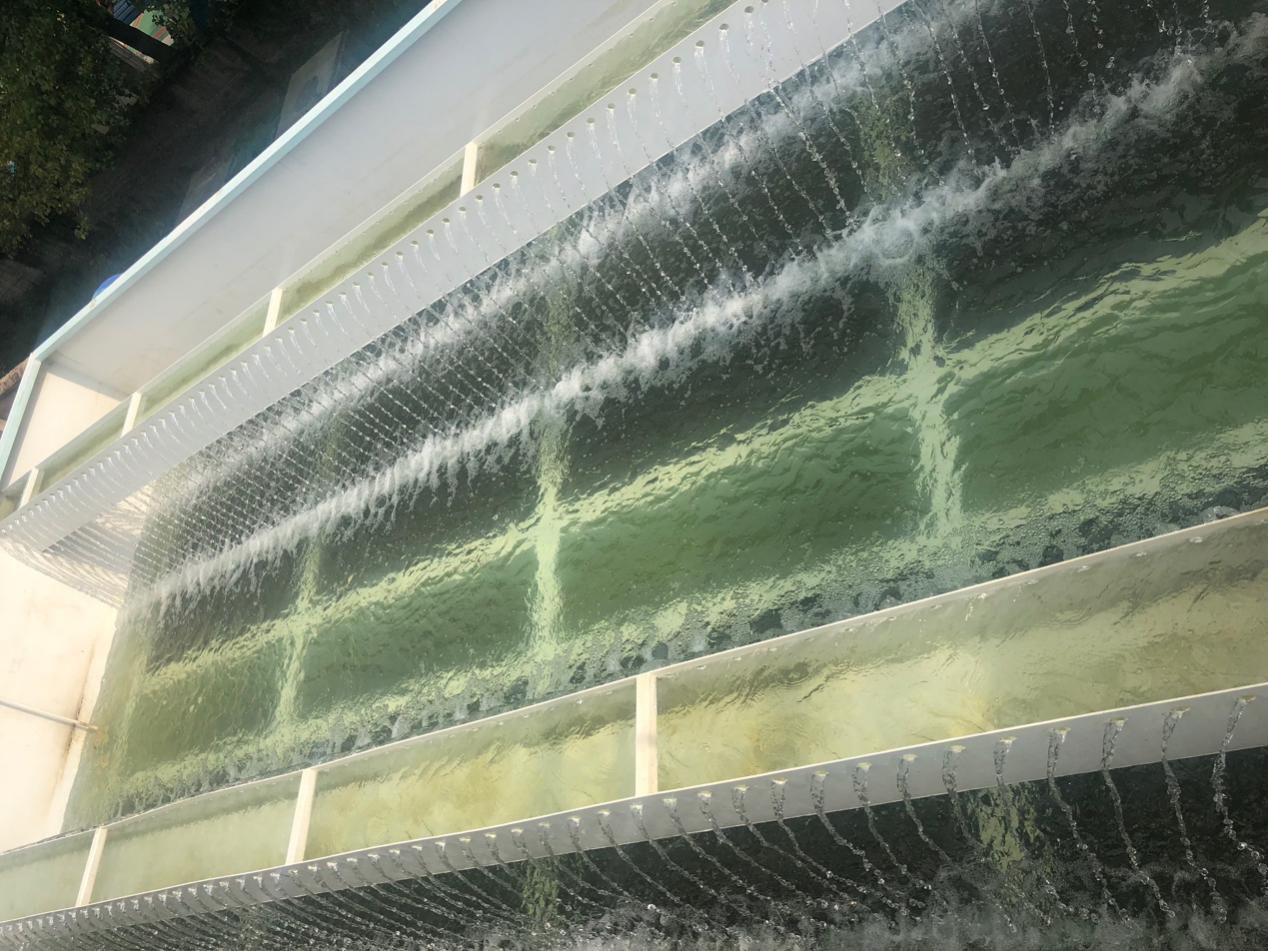 惠州FMBR技术是如何助推农村污水处理的